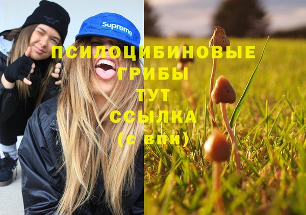 mdpv Абдулино